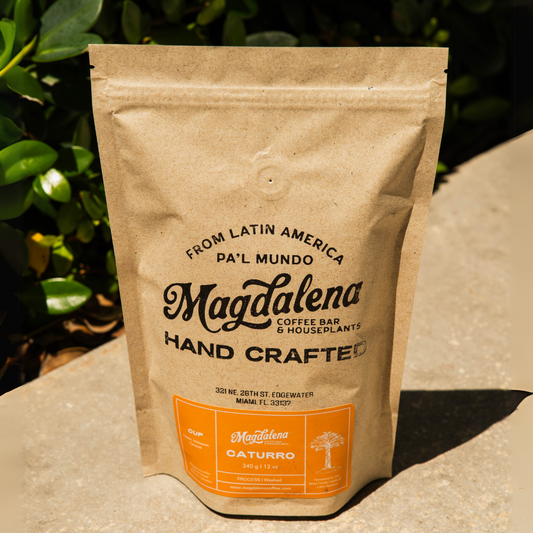 Caturro - Coffee Bag
